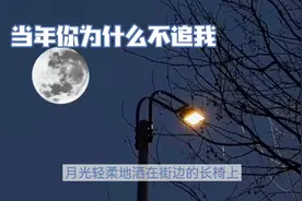 月光下的思念，为何当年你不追我？视频封面