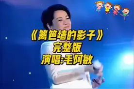 《篱笆墙的影子》完整版，毛阿敏演绎经典视频封面