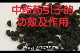 中药药引子的功效及作用视频封面
