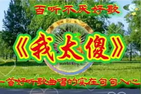 一首好听歌曲《我太傻》唱的实在句句入心视频封面