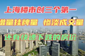 上海二手房挂牌量猛增，成了却降至冰点，学区房价格降幅较大视频封面