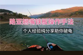 路亚翘嘴铁板操作手法及个人经验纯分享 助你破龟！视频封面