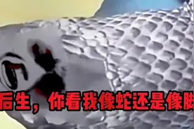 男子误把妻子穿的蛇皮丝袜当成真的蟒蛇，差点被男子打死视频封面