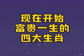 现在开始富贵一生的四大生肖视频封面