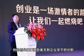 商业人物志-张近东苏宁视频封面