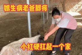 老爸忍痛跪着干活，小红家里家外忙碌不停，单亲妈妈支撑起一个家视频封面