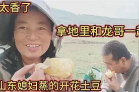 山东媳妇煮一锅开花土豆拿地里和龙哥一起吃，高原旱地土豆太香了视频封面