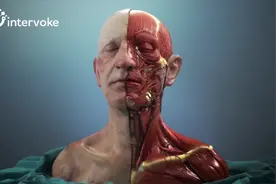 人为什么是最优秀的生物机器，人脑的组成，3D演示。。视频封面
