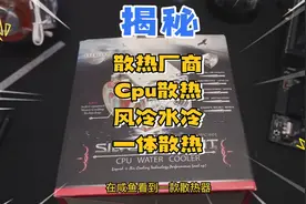原厂cpu风冷水冷一体散热器#diy电脑 #电脑 #电子产品 #装机视频封面