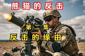 熊猫反击第二集：反击的缘由揭晓！#听风的蚕#军事科普#大国博弈视频封面