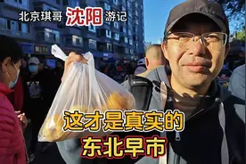 北京琪哥二刷沈阳，东北早市是真好逛，2.5元鸡蛋汉堡居然是真的视频封面