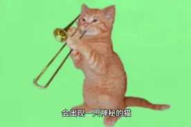 在遥远的小镇上有一个古老的传说每当夜深人静会出现一只神秘猫！视频封面