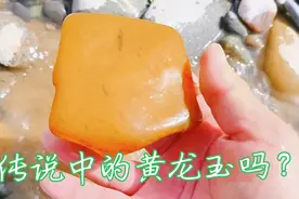 黄河终于落水了，河滩上又冲出来好多宝贝，根本捡不完视频封面