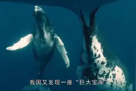 海底探险！惊现神秘“巨大宝藏”！视频封面