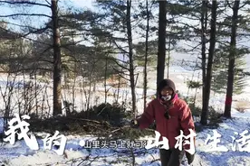 极寒的黑龙江夜晚零下30多度，冻死人了！去山里看看冷成什么样了视频封面