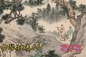 古琴独奏661：花非花视频封面