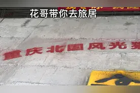 重庆有着独特的两江四岸，政府打造了很多冬泳基地和网红跳台！视频封面