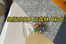 绝版乐高人仔森林人和中古世纪士兵视频封面