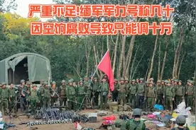 缅军兵力严重不足，吃空饷等腐败问题导致其兵力实际不足十万视频封面
