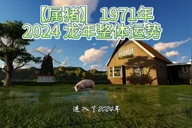【属猪】 1971年出生2024 龙年整体运势视频封面