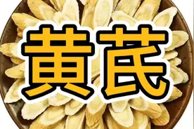 黄芪的功效和作用视频封面