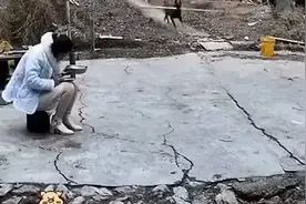 知道金毛为啥叼着饭盆吗，它可能觉得今晚“炖狗肉”😂😂视频封面