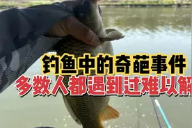 钓鱼中的奇葩事件，多数人都遇到过，难以解释！视频封面