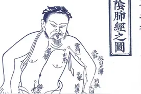十四经络图视频封面
