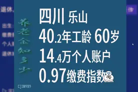 四川乐山40.2年工龄养老金账户缴费指数0.97视频封面