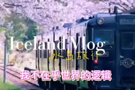 我不在乎世界的逻辑视频封面