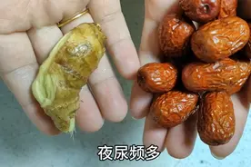 夜尿频多？红枣加姜片解决你的问题。涨知识了！视频封面