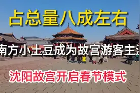 占总量八成左右南方小土豆成为故宫游客主流沈阳故宫开启春节模式视频封面