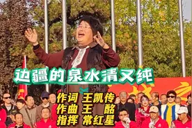 电影《黑三角》插曲《边疆的泉水清又纯》优美深情百听不厌！视频封面