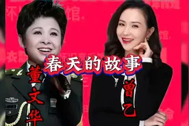 春天的故事：董文华与曾乙的传奇视频封面