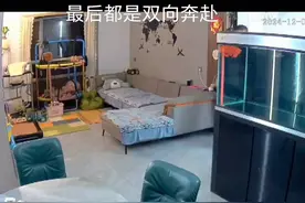 监控下夫妻吵架一幕，最后都是双向奔赴，美好的爱情视频封面