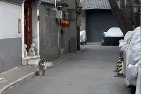20240229唐师曾:老之将至视频封面