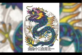 十二生肖守护神龙视频封面