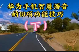 华为手机智慧语音的18项功能技巧（下）