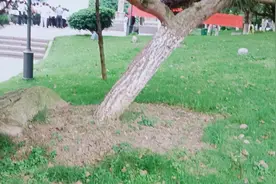 放飞梦想相信你有改变的力量视频封面