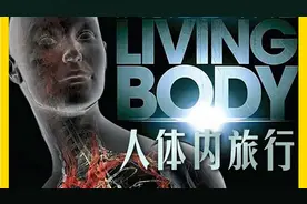 神奇的人体内旅行视频封面