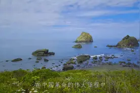 红一，红二，红四方面军的建立过程视频封面