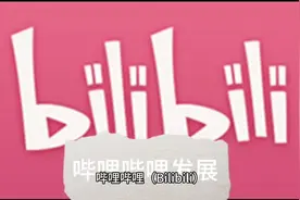 关于b站，你了解吗
