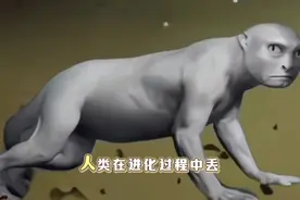 人类在进化过程中丢失的能力…视频封面