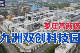 枣庄第一大企业、第五大企业，均已落户这座产业园区，因为啥？视频封面