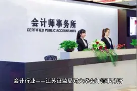 会计师事务所监管风暴：大华所遭重罚与行业变局深度解析视频封面