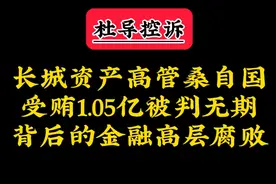 长城资产高管桑志国受贿1.05亿被判无期背后的金融高层腐败视频封面
