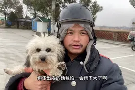 山炮的手机出问题了，更换摄像头花费180元，没想到还是没修好视频封面