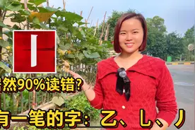 “一”字有几种读法？一笔汉字：丨、乙、乚、亅视频封面