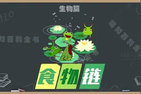 什么是食物链？食物链的起点和终点分别是？食物链包括分解者吗视频封面