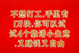 不想打工，手里有1万块，你可以试试4个靠谱小生意，又赚钱又自由视频封面